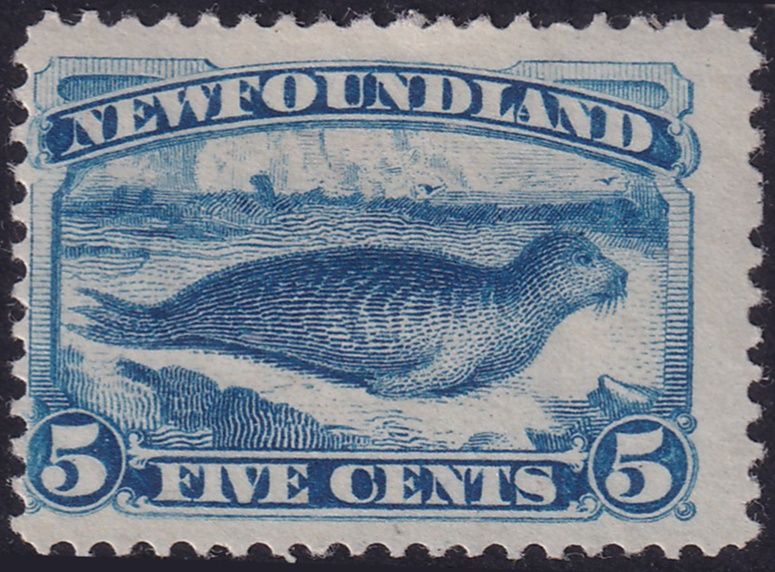 Newfoundland 1894 5c Bright Blue Seal