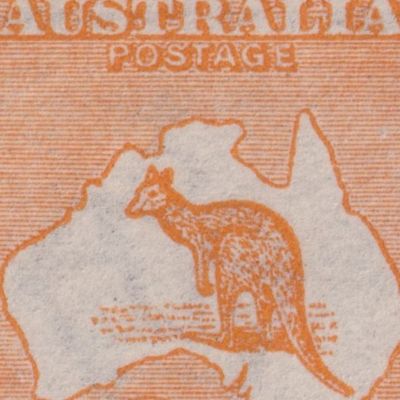 Kangaroos
