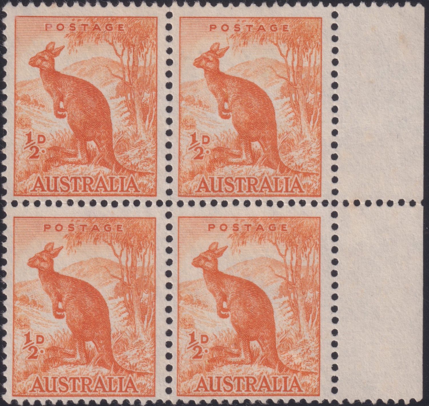 Australia 1949 ½d Kangaroo with Line to Roos' Ear