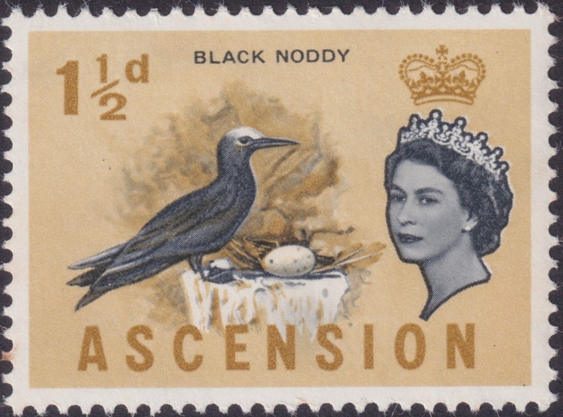 Ascension 1963 1½d Black Noddy with Cobalt Omitted