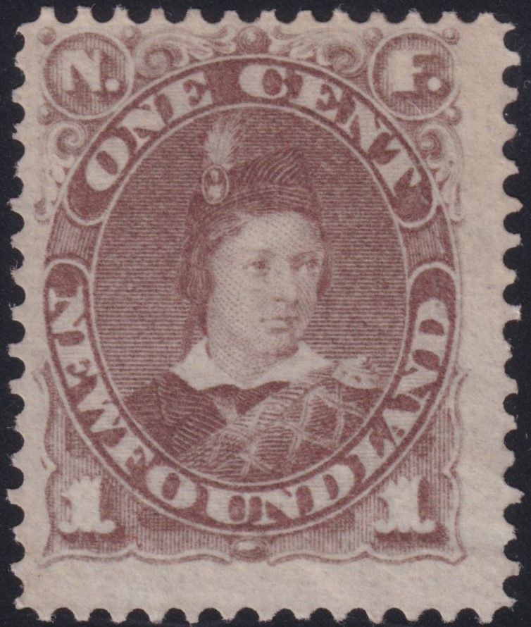 Newfoundland 1880 1c Dull Brown