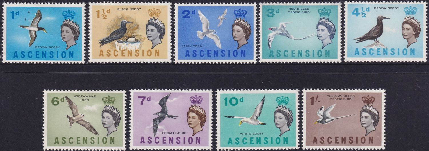 Ascension 1963 Birds Short Set