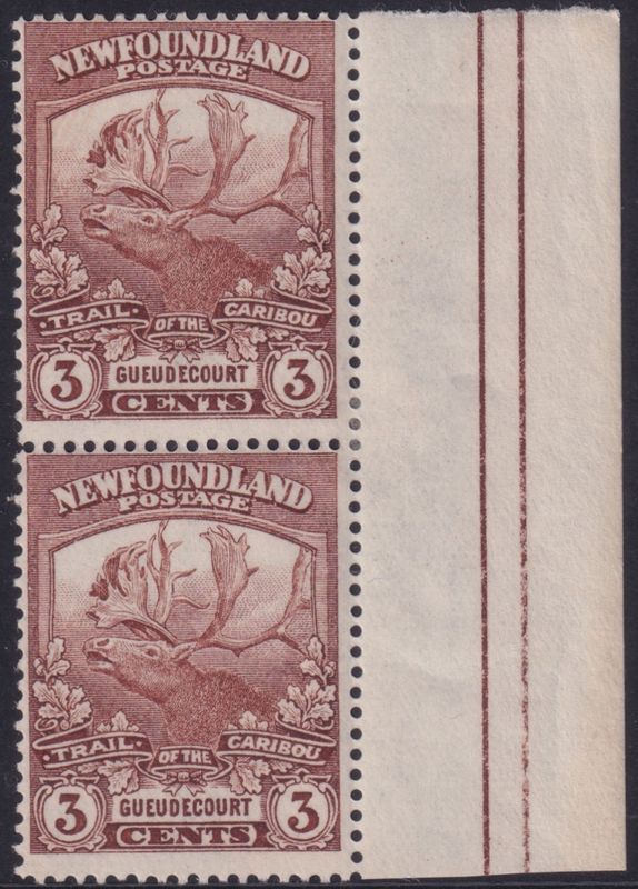 Newfoundland 1919 3c Brown Marginal Pair Comb Perf