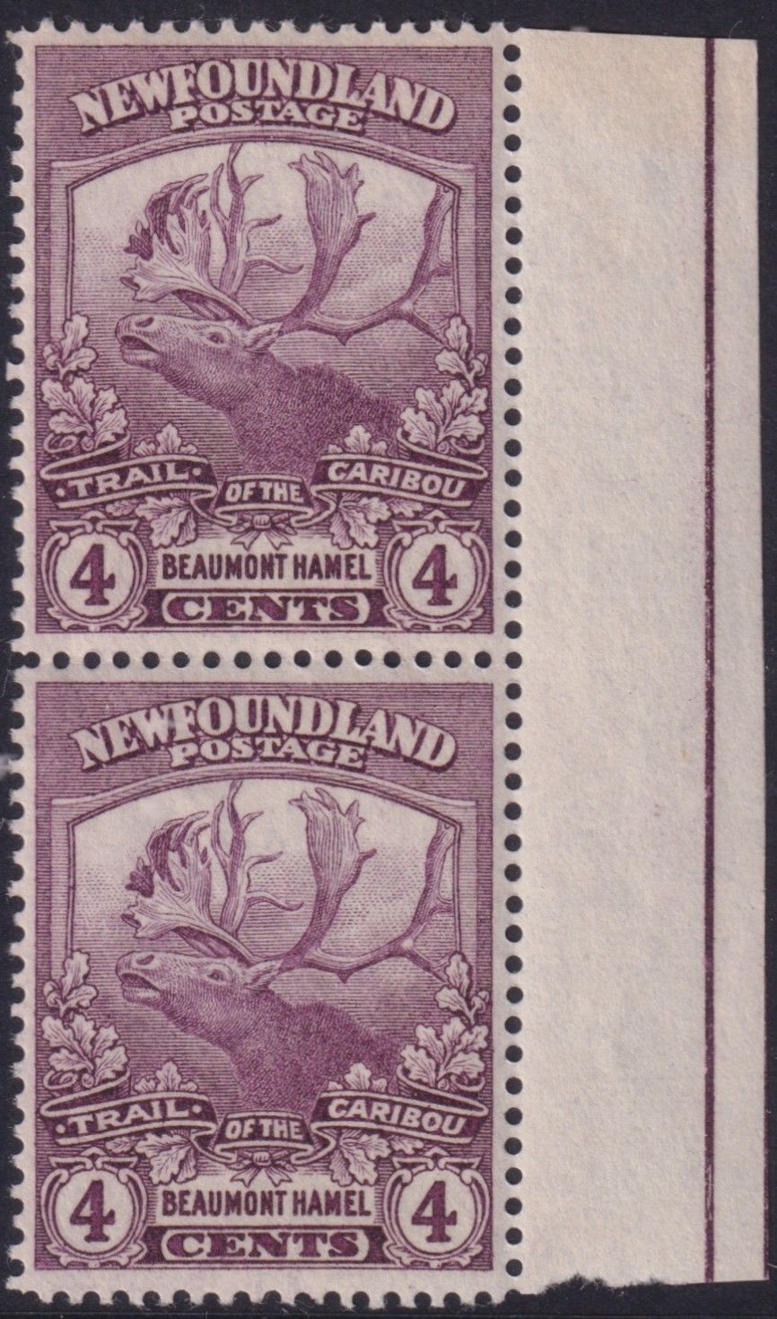 Newfoundland 1919 4c Purple Marginal Pair Line Perf