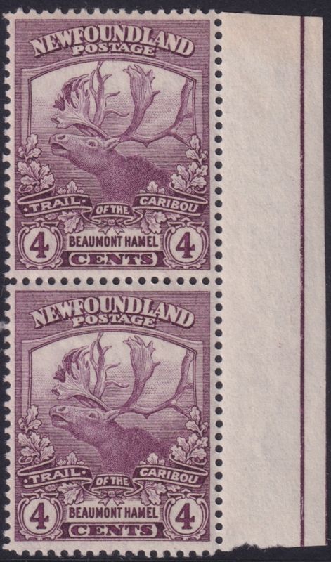 Newfoundland 1919 4c Purple Marginal Pair Line Perf