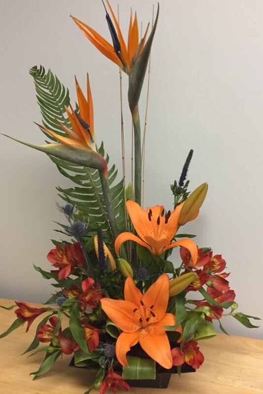 Exotic Paradise - Fiori Fantastic