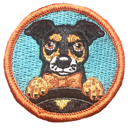 "CAPTAIN AT THE WHEEL" Skoolie Scout Badge
