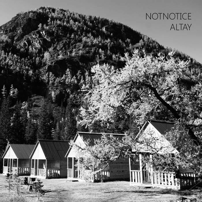notnotice &quot;Altay&quot;