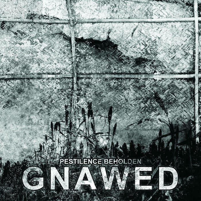 Gnawed &quot;Pestilence Beholden&quot;