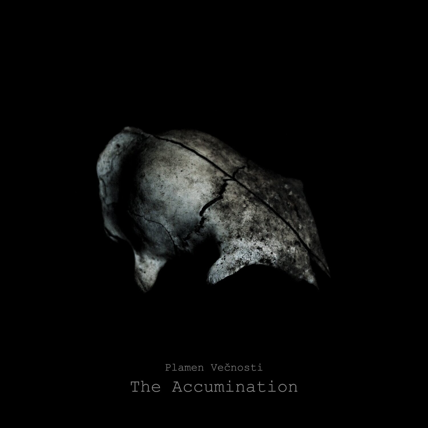 Plamen Vecnosti &quot;The Accumination&quot; CD (Zazen Sounds)