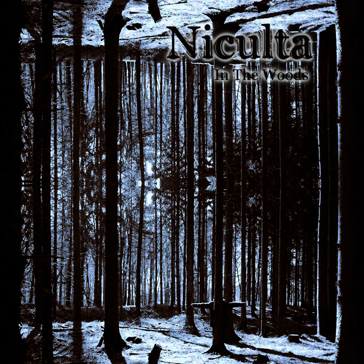 Niculta &quot;In The Woods&quot;