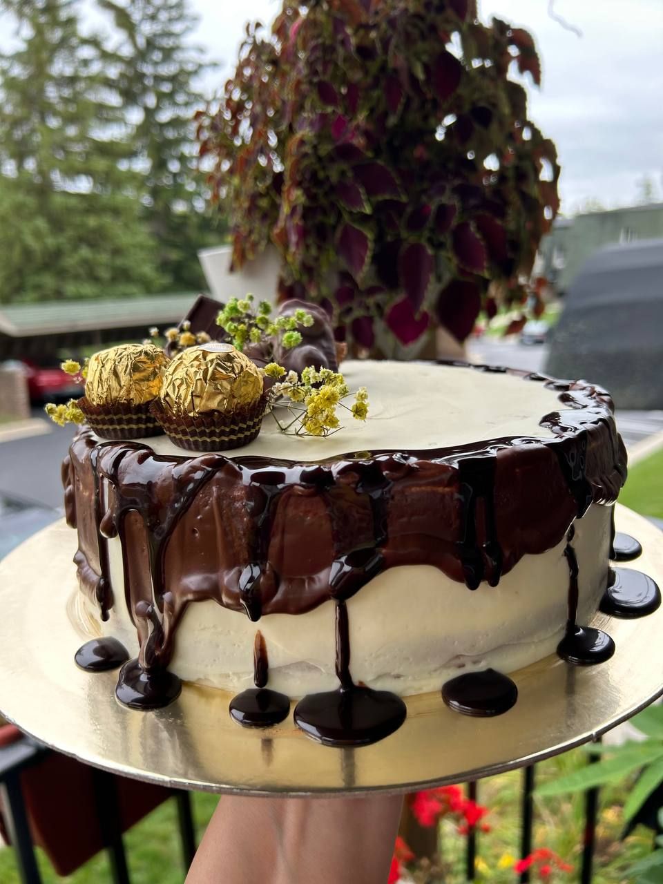 Cake 002