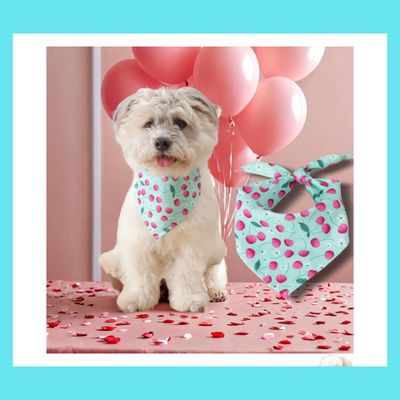 Cute Aqua and Cherry  Dog Bandana