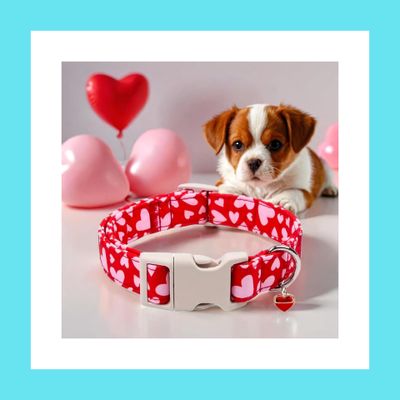 Adjustable dog collar- Valentine