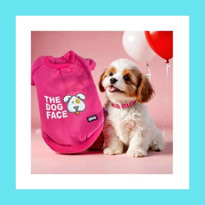 Cartoon print pet hoodie