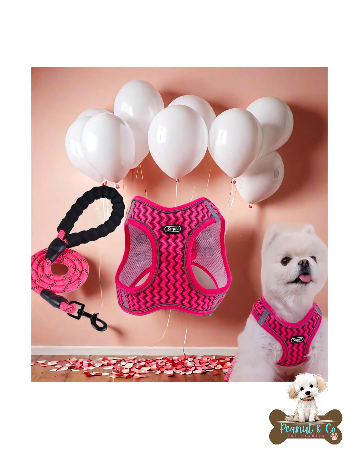 Wace Print no-pull dog harness with leash