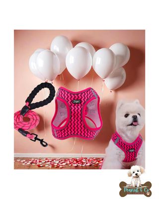 Wace Print no-pull dog harness with leash