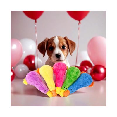Pet Fun Toys