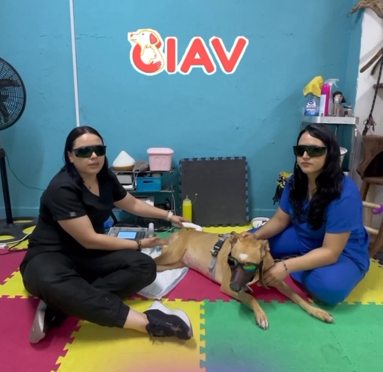 Fisioterapia Valoración