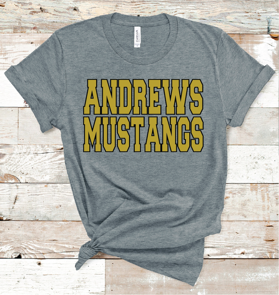 ANDREWS SCHOOL COLORS