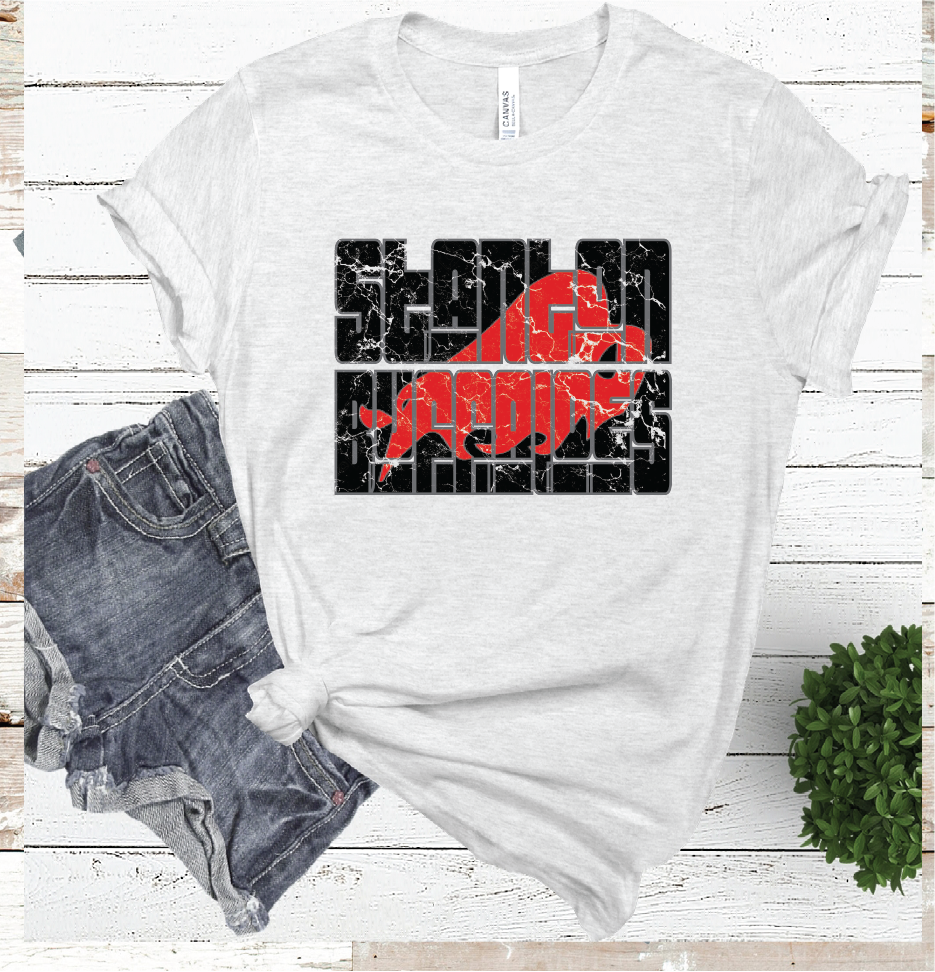 STANTON MASCOT WORD ASH COLOR TEE
