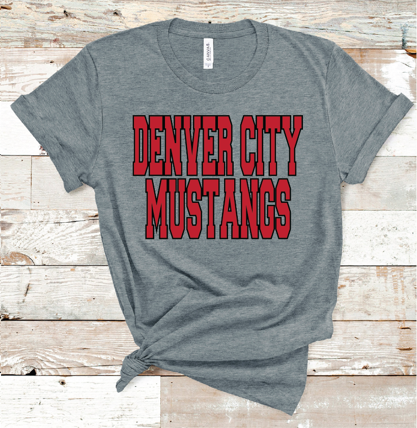 DENVER CITY SCHOOL COLORS