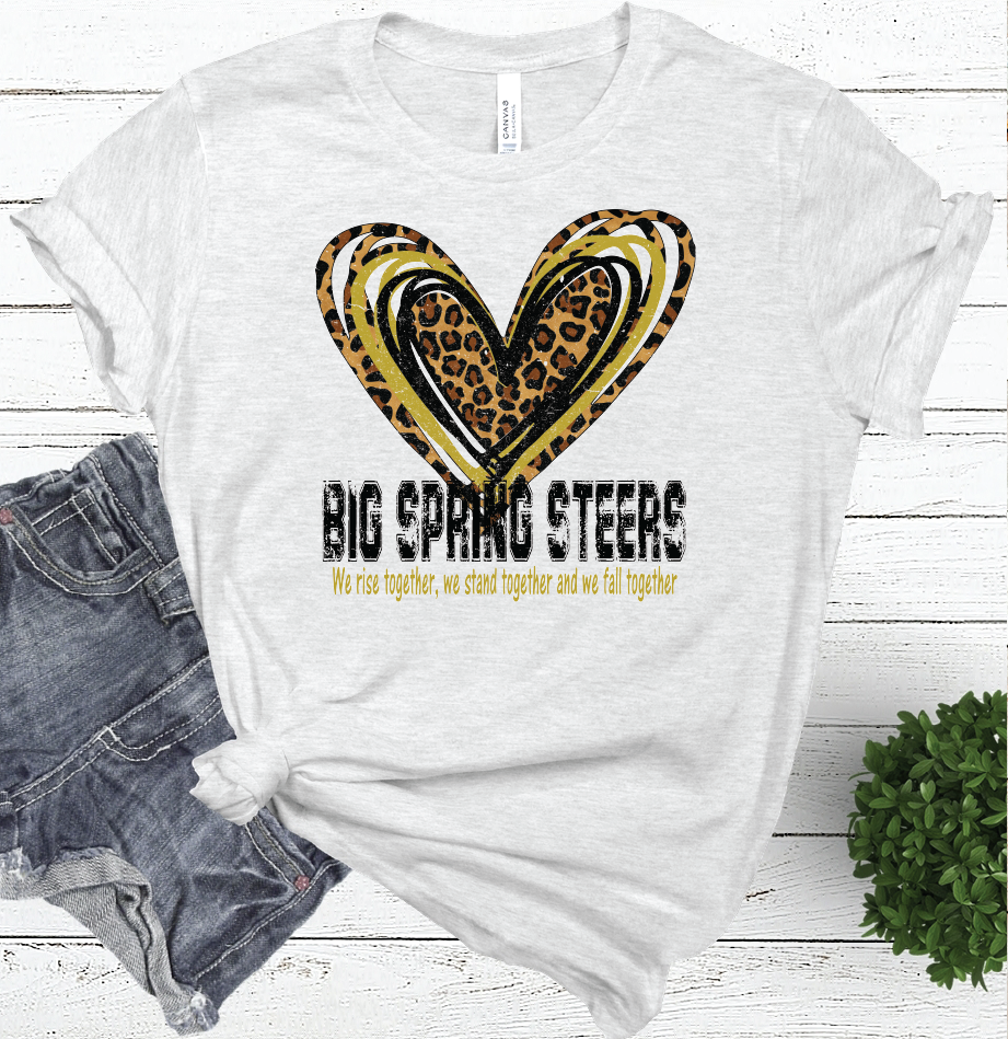 2020 Together we...Big Spring