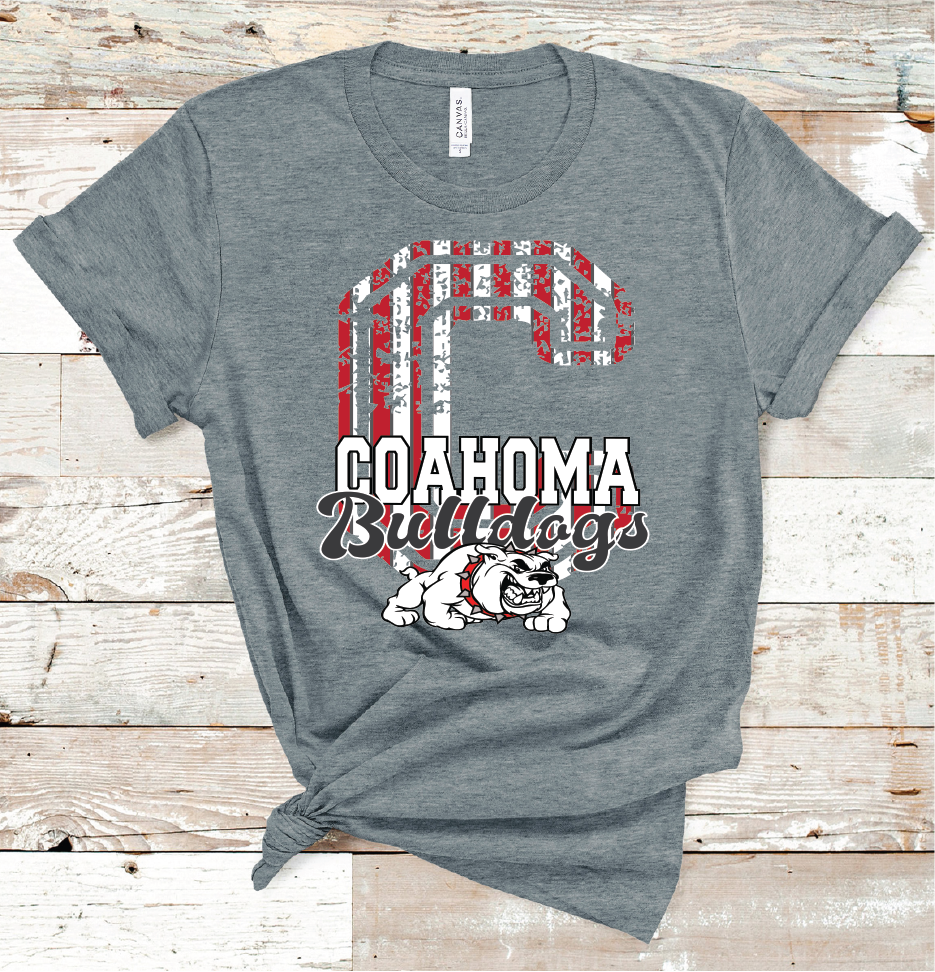 Coahoma Letter 2019