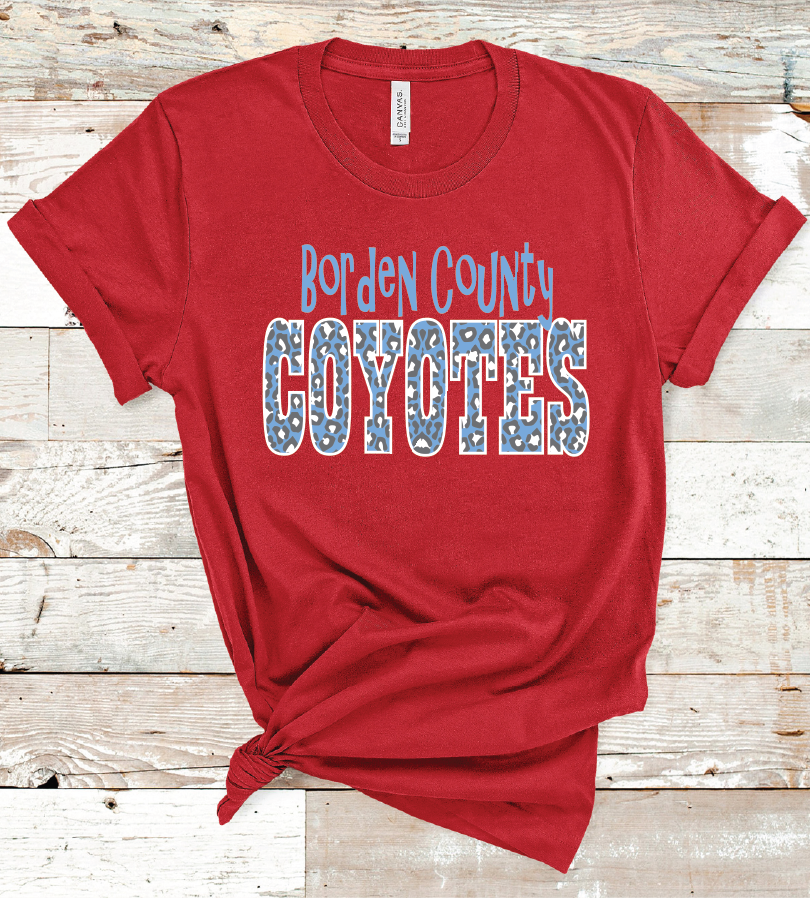 2020 Leo Borden County Words