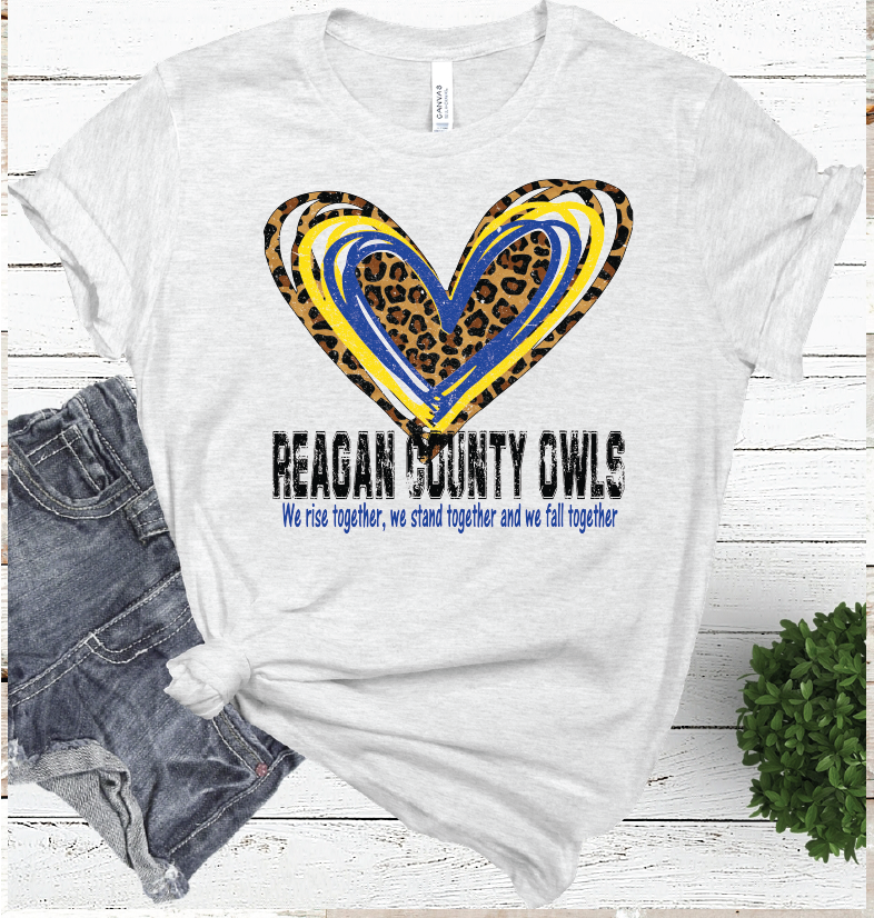 2020 Together we...Reagan County