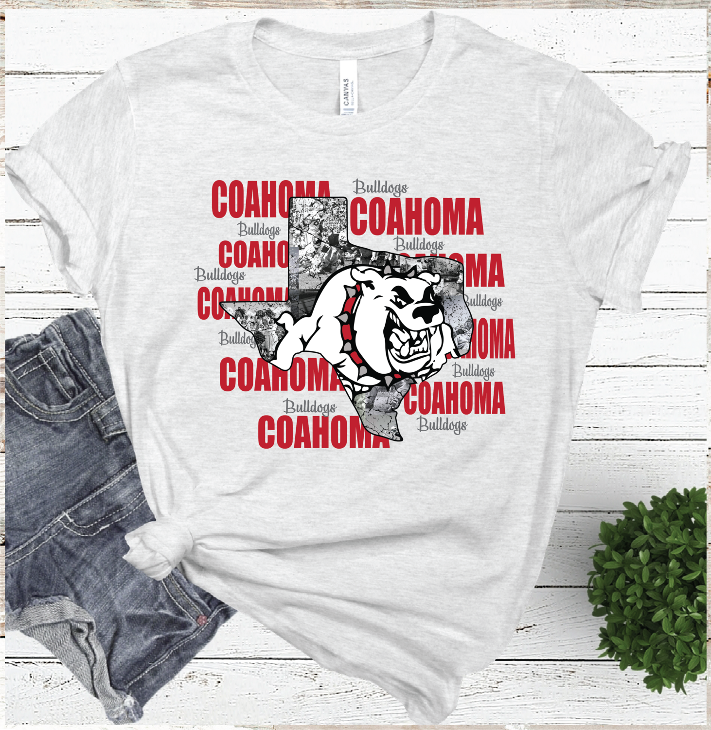 2021 COAHOMA BULLDOGS Mascot State  (ASH)