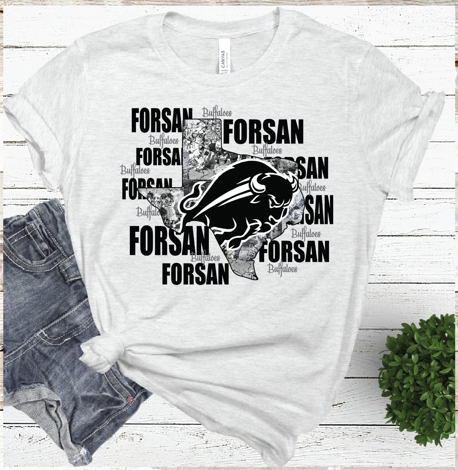 2021 FORSAN Mascot State  (ASH)