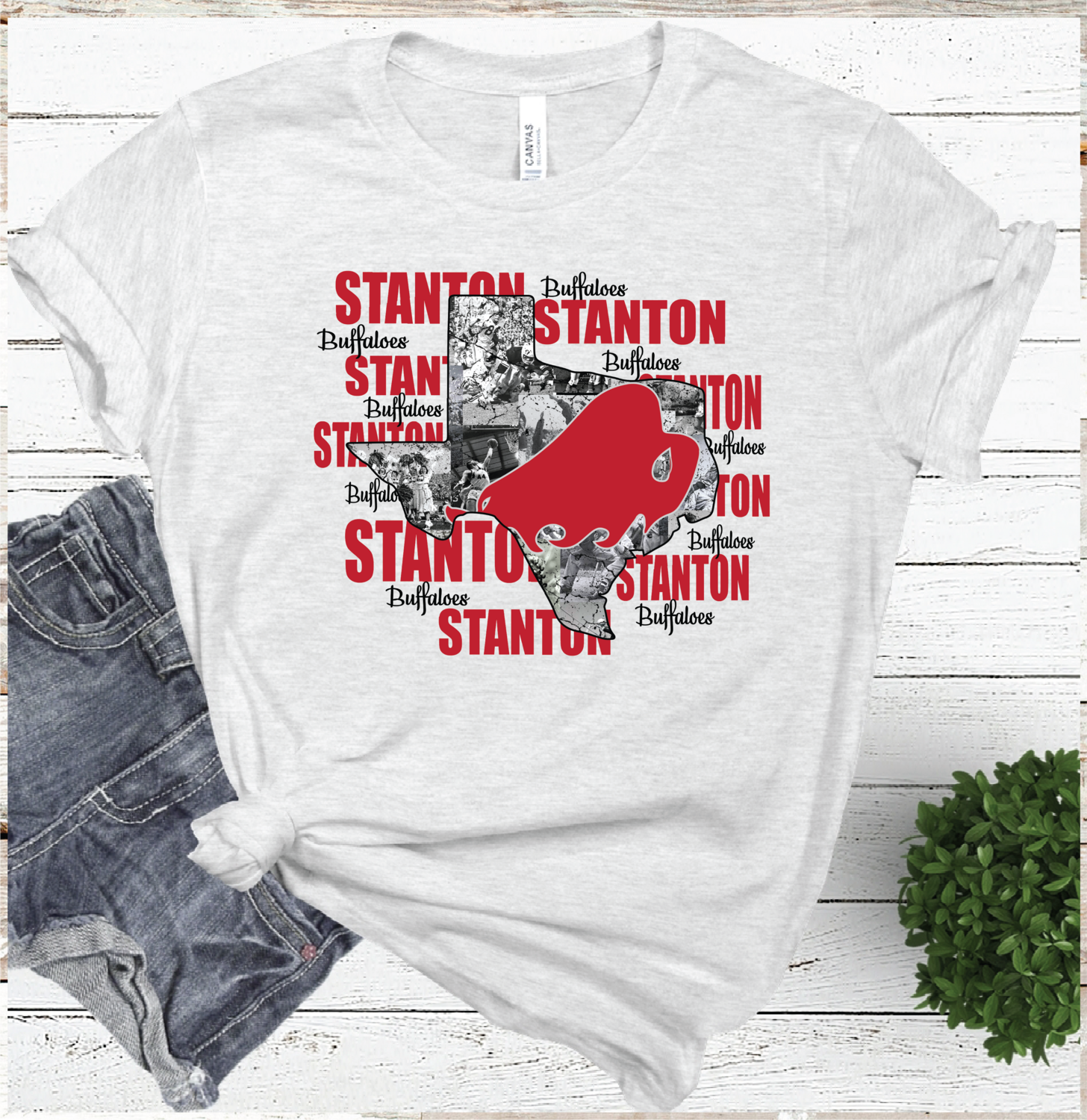 2021 STANTON BUFFALOES Mascot State  (ASH)