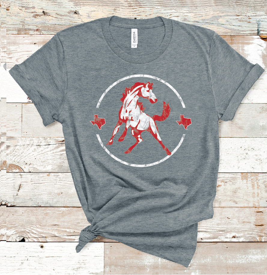 2021 SWEETWATER MASCOT CIRCLE (DARK GREY)