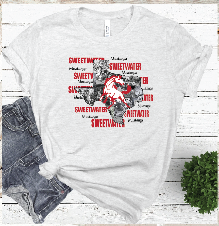 2021 SWEETWATER Mascot State  (ASH)