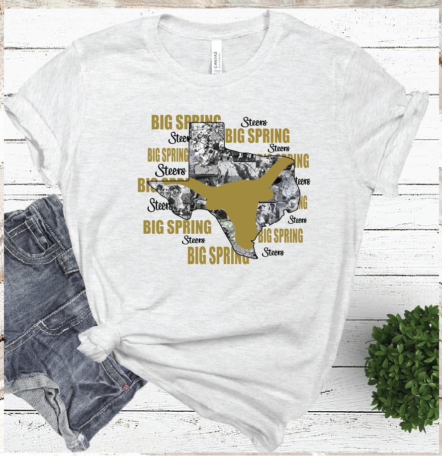 2021 BIG SPRING Mascot State  (ASH)