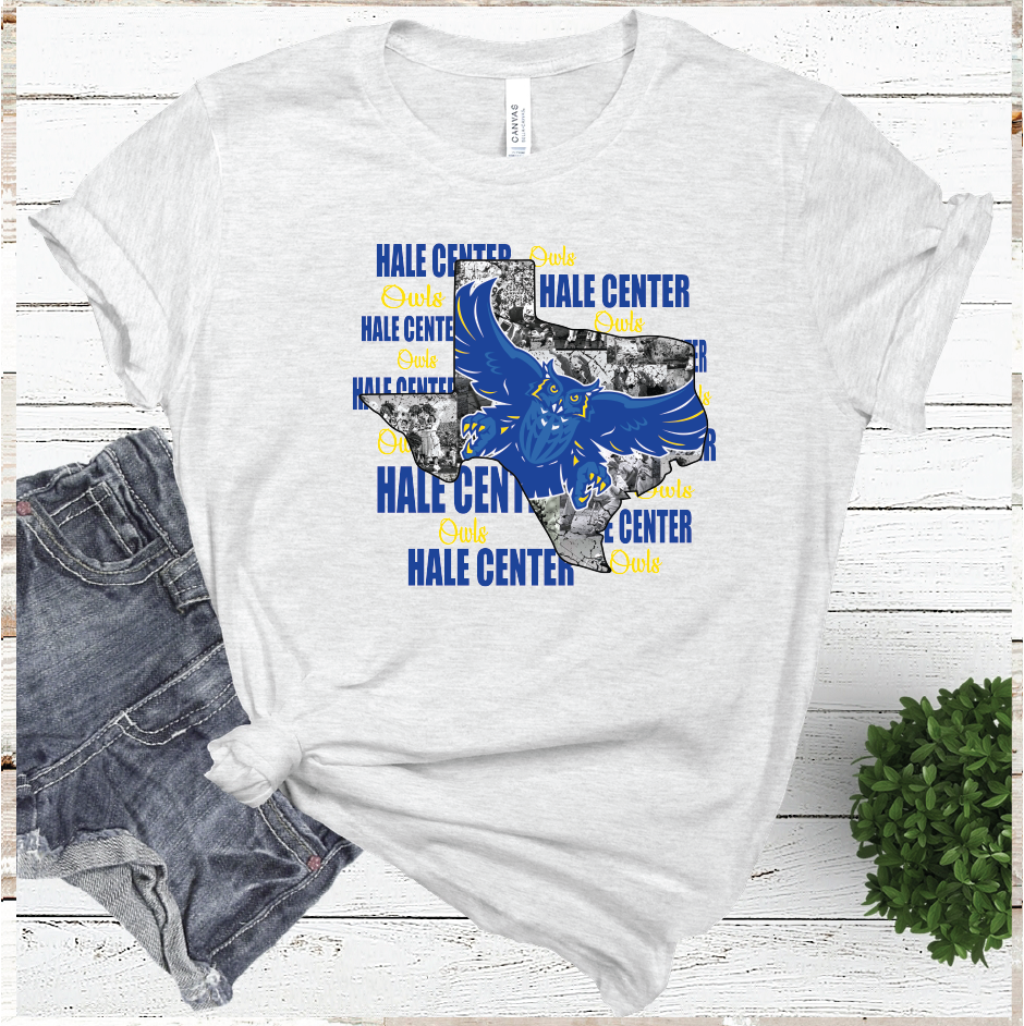 2021HALE CENTER Mascot State  (ASH)