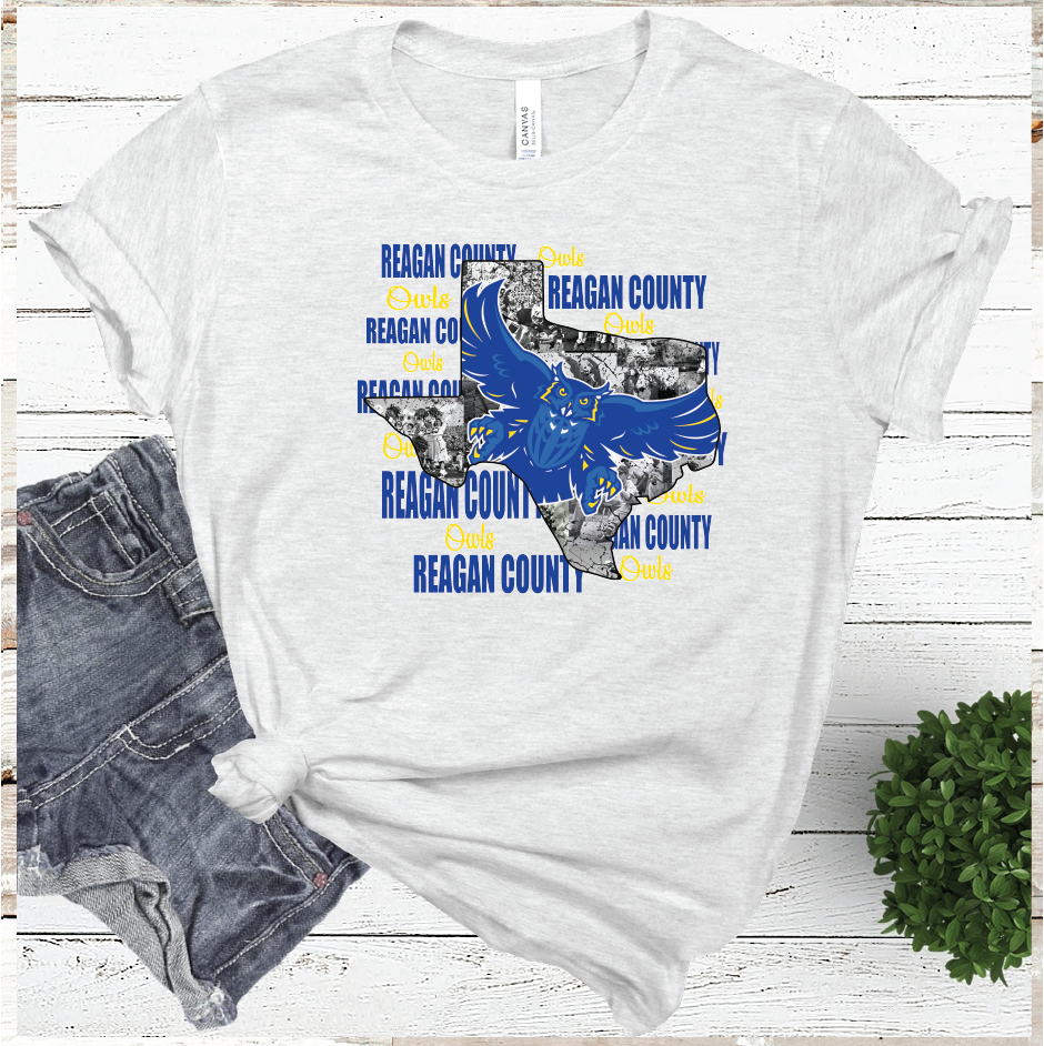 2021REAGAN COUNTY Mascot State  (ASH)