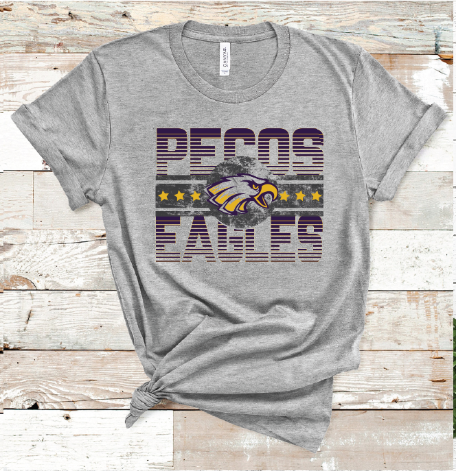 2022 PECOS CHAMPION (L. GRAY)