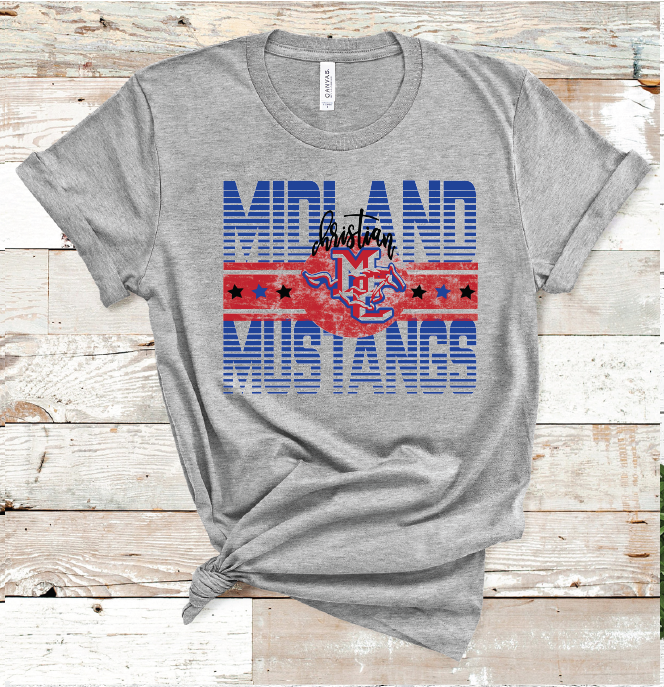 2022 MIDLAND CHRISTIAN CHAMPION (L. GRAY)
