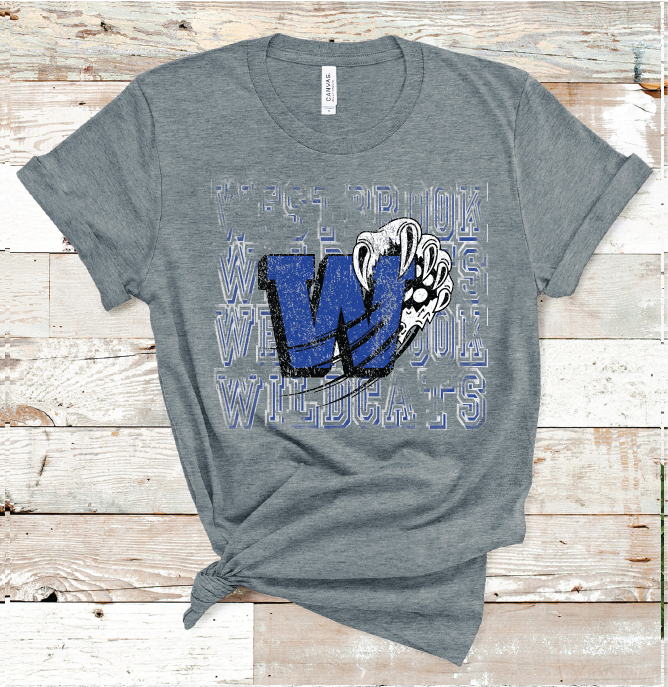 2022 WESTBROOK MASCOT (D. GRAY)