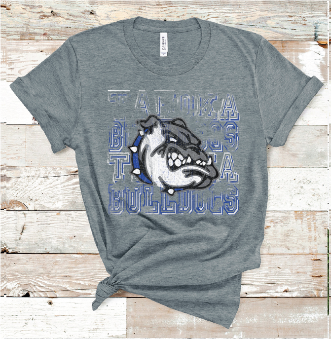 2022 TAHOKA MASCOT (D. GRAY)