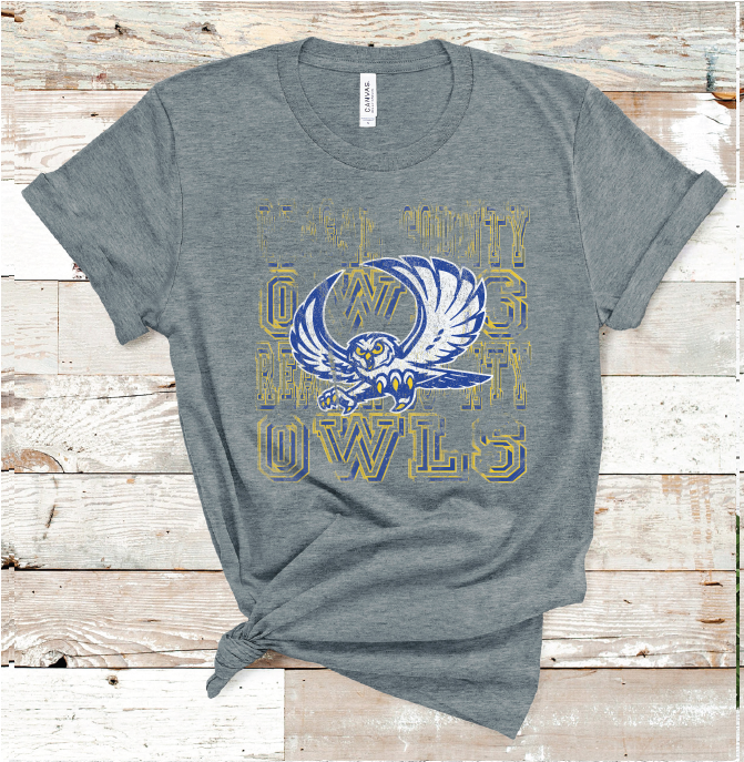 2022 REAGAN COUNTY MASCOT (D. GRAY)
