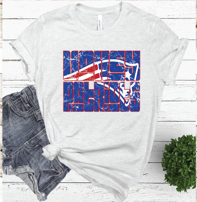 VALLEY MASCOT WORD ASH COLOR TEE