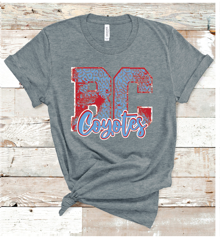 2023 BORDEN COUNTY  LEO LETTERS  (B D GRAY)