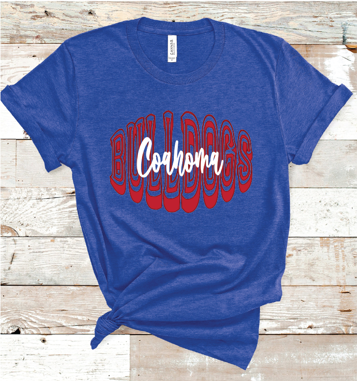 2023 COAHOMA BUBBLE  (HEATHER BLUE)