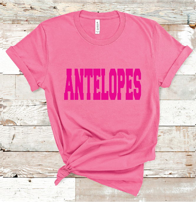 2023 ANTELOPES PINK (HEATHER PINK)