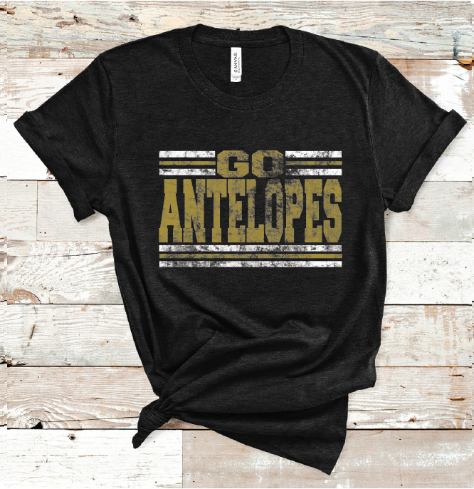2023 POST GO ANTELOPES (HEATHER BLACK)