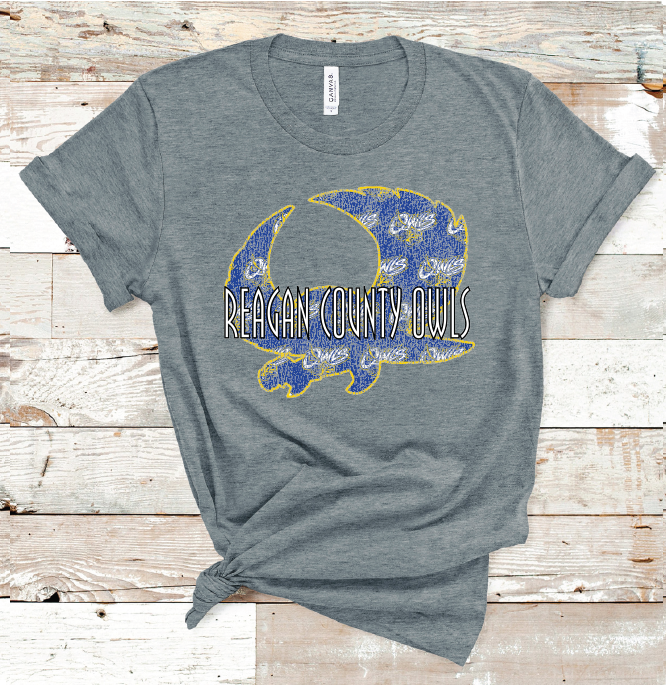 2023 REAGAN COUNTY GRUNGE (D GRAY)