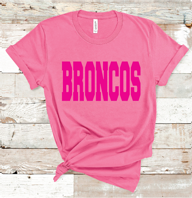 2023 CLARENDON BRONCOS PINK (HEATHER PINK)